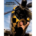 Warbird Pinup Girls: A Tribute to the 1940's Nose Art Pinup Girls