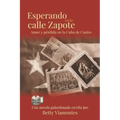 Esperando en la Calle Zapote: Amor y Perdida en la Cuba de Castro