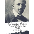 Darkwater Voices from Within the Veil