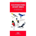 Great Lakes Birds: An Introduction to Familiar Species