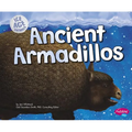 Ancient Armadillos