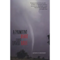 A Primitive Heart: Stories