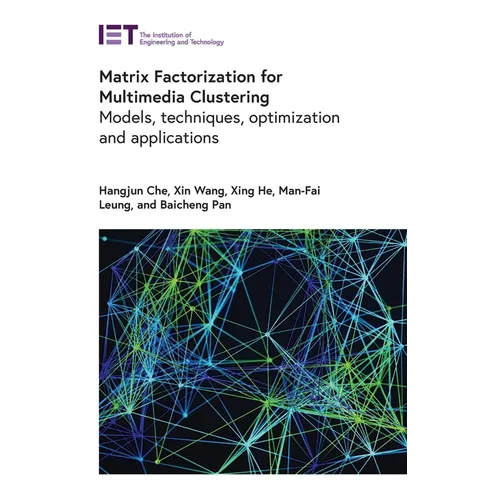Matrix Factorization for Multimedia Clustering: Models, Techniques, Optimization and Applications