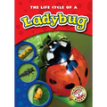The Life Cycle of a Ladybug