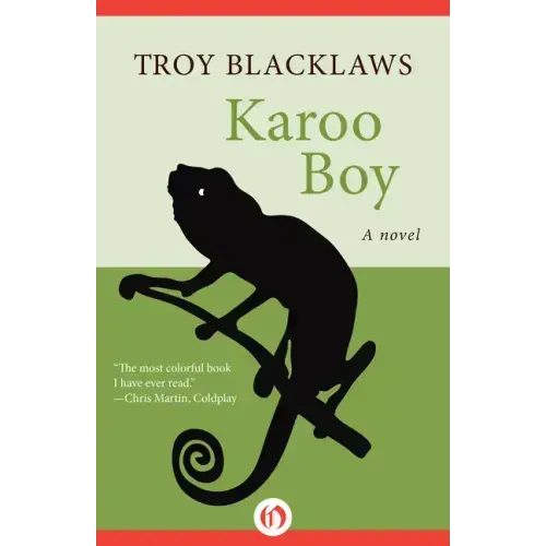 Karoo Boy