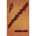 Bonanzaville