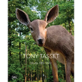 Tony Tasset