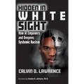 Hidden in White Sight: How AI Empowers and Deepens Systemic Racism
