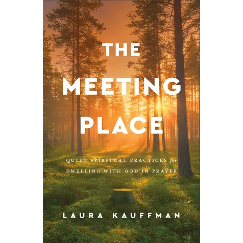 The Meeting Place: Quiet Spiritual Practices for Dwelling with God in Prayer
