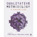 Qualitative Methodology: A Practical Guide