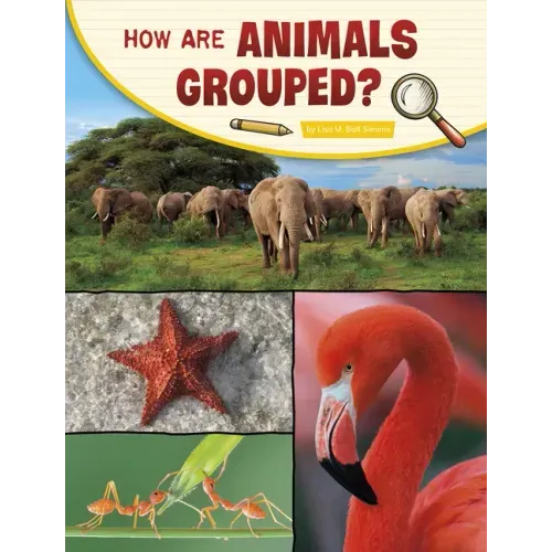 How Are Animals Grouped?