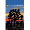 Perseverance