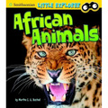 African Animals