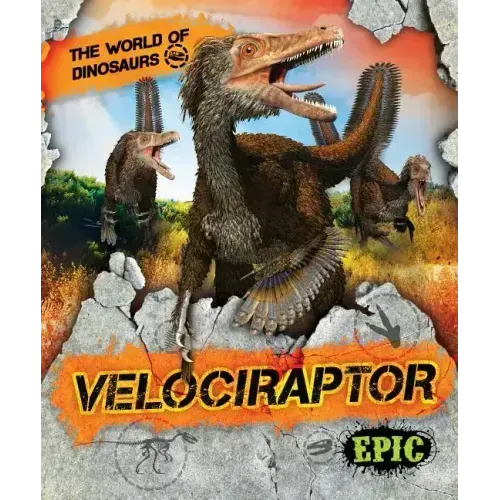 Velociraptor