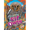 Elf Owls
