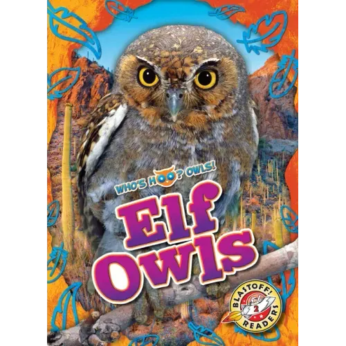 Elf Owls