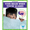 Your Brain When You're Scared