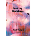 Seeking Brakhage