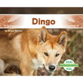 Dingo