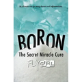 Boron - The secrect miracle cure: The ultimate cure for many diseases, inflammatitons, ...