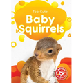 Baby Squirrels