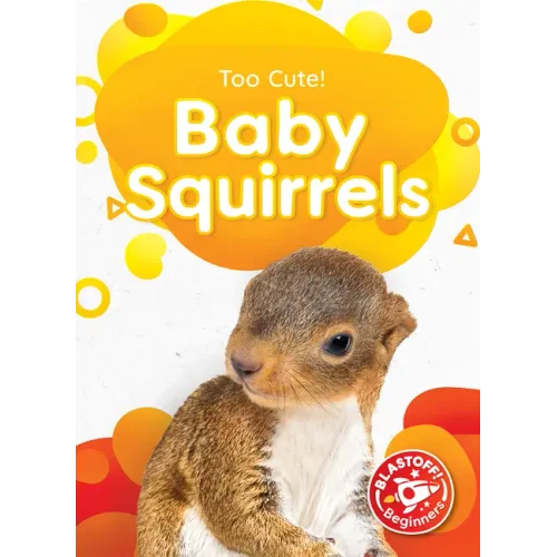 Baby Squirrels