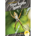 Silver Argiope Spiders