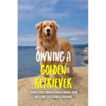 Owning A Golden Retriever: Things Every Owner Should Know, From Breeding To Feeding & Training: The Best Breeding Practices For Golden Retrievers