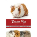 Guinea Pigs: How to care for your Guinea Pig and everything you need to know to keep them well
