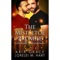 The Mistletoe Promise: An MM Nonshifter Mpreg Christmas Romance