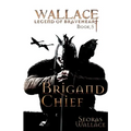 Brigand Chief