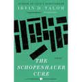 The Schopenhauer Cure