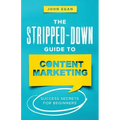 The Stripped-Down Guide to Content Marketing: Success Secrets for Beginners