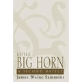 Little Big Horn: A Second Battle