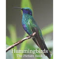 Hummingbirds: The Picture Book of Hummingbirds Great Gift for Parkinson's Alzheimer's & Seniors with Dementia.