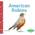 American Robins