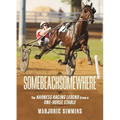 Somebeachsomewhere: A Harness Racing Legend from a One-Horse Stable