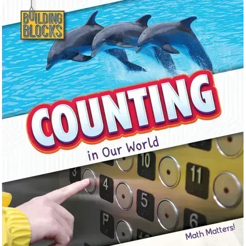 Counting in Our World