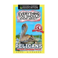 Everything You Should Know About: Pelicans Faster Learning Facts