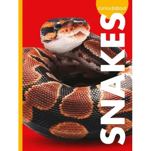 Curious about Snakes