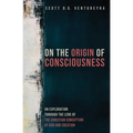 On the Origin of Consciousness: An Exploration Through the Lens of the Christian Conception of God and Creation