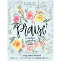 Praise: A Creative Journaling Bible