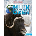 Musk Oxen