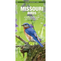 Missouri Birds: A Folding Pocket Guide to Familiar Species