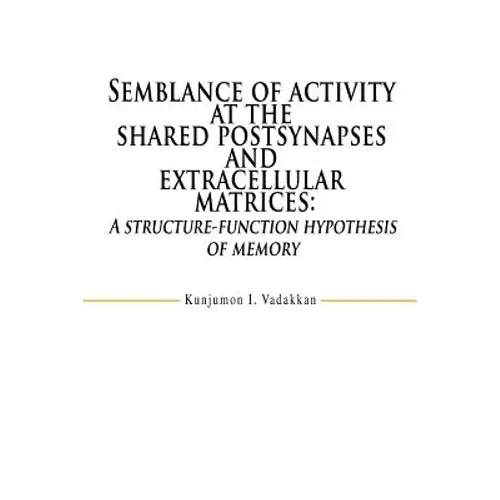 Semblance of activity at the shared postsynapses and extracellular matrices: A structure-function hypothesis of memory