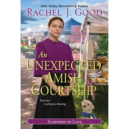 An Unexpected Amish Courtship