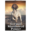 German Shorthaired Pointer: Dog breed overview and guide