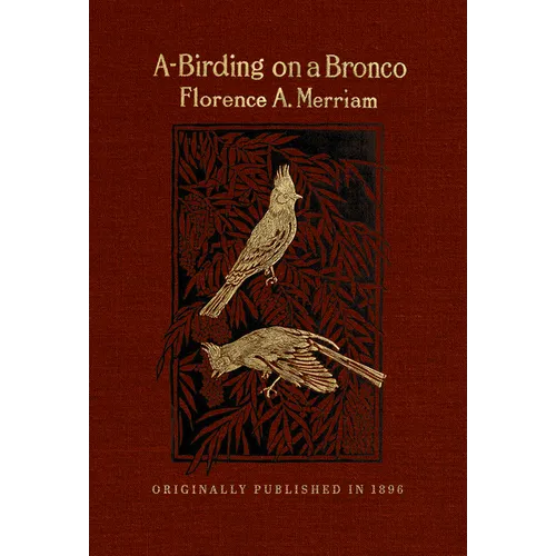 A-Birding on a Bronco