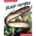 Black Mambas
