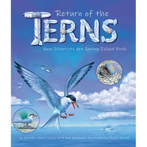Return of the Terns: How Scientists Are Saving Island Birds